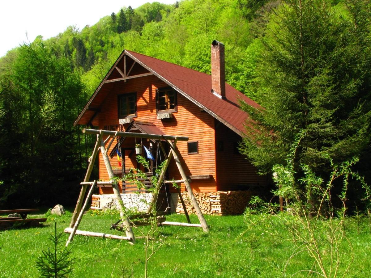 Лоджи Rustic House Стына-де-Вале-20