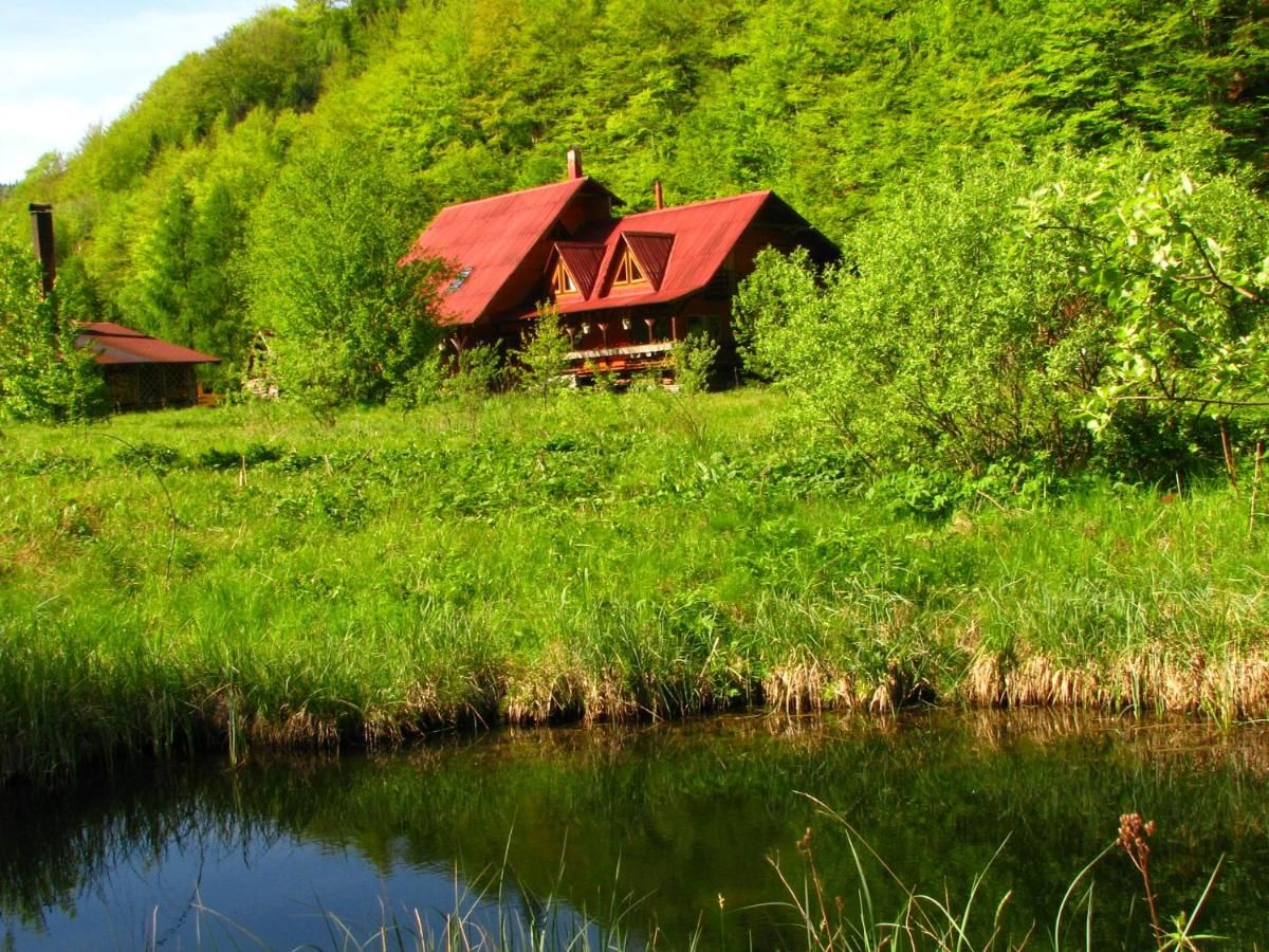 Лоджи Rustic House Стына-де-Вале-32