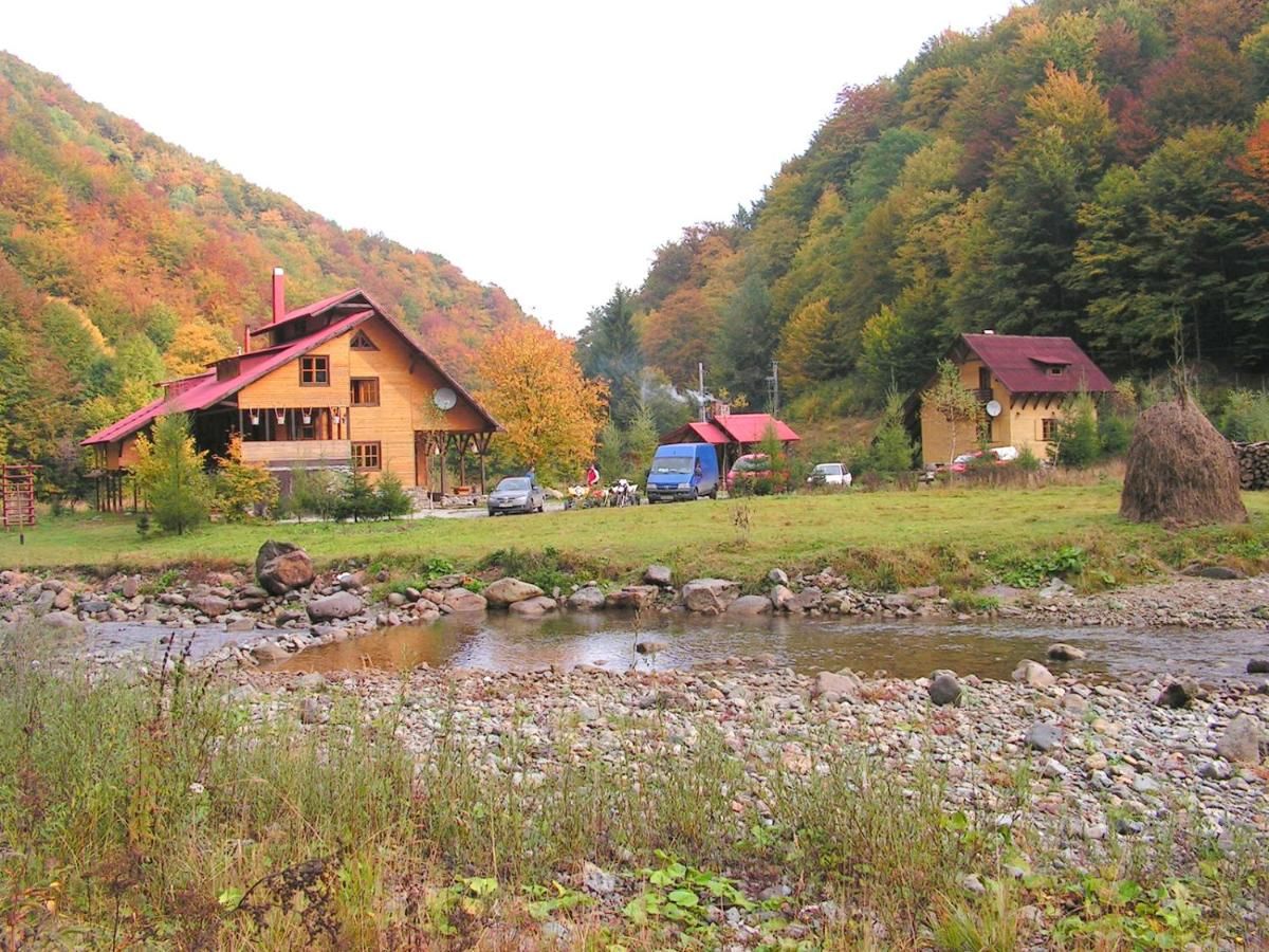 Лоджи Rustic House Стына-де-Вале-46