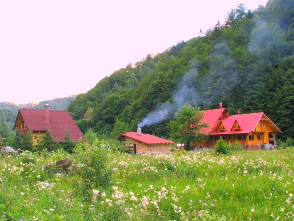 Лоджи Rustic House Стына-де-Вале-52